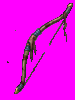 Arco Podre