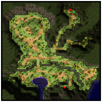 Floresta Encantada (1)