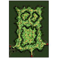 Floresta de Payon (8)