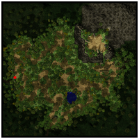 Floresta Encantada (3)