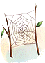 Teia de Aranha (BG)