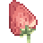 Morango