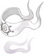 Olho de Mimir