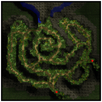 Floresta Encantada (2)