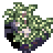 Musgo Encharcado