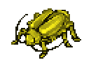 Besouro-Macho Faiscante